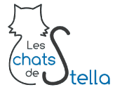 Les Chats de Stella – Refuge Gireau